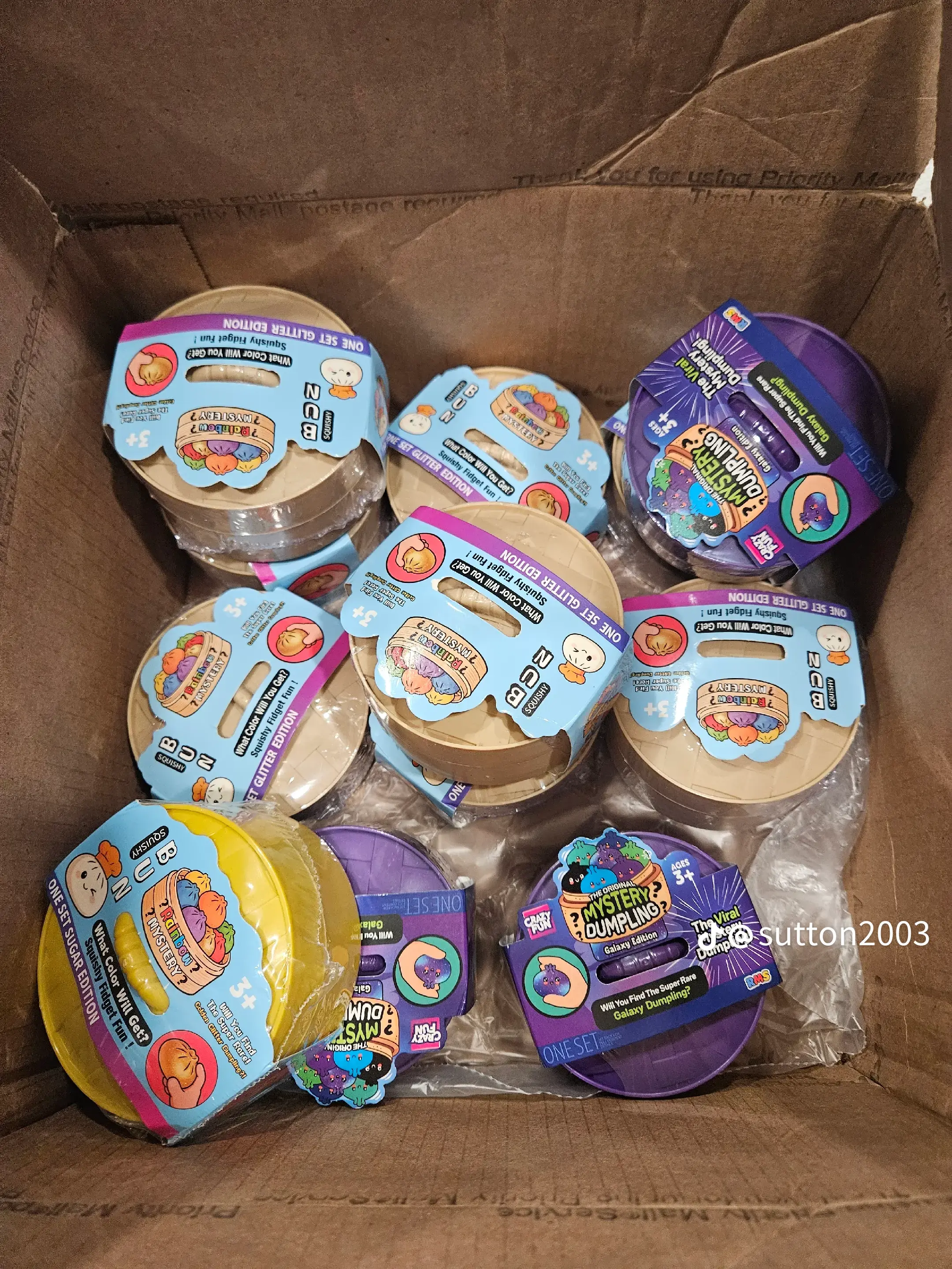Mystery Dumpling Squishies